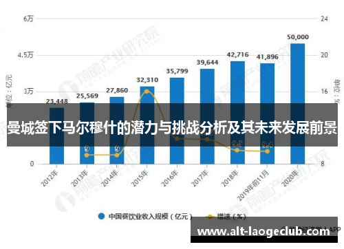曼城签下马尔穆什的潜力与挑战分析及其未来发展前景