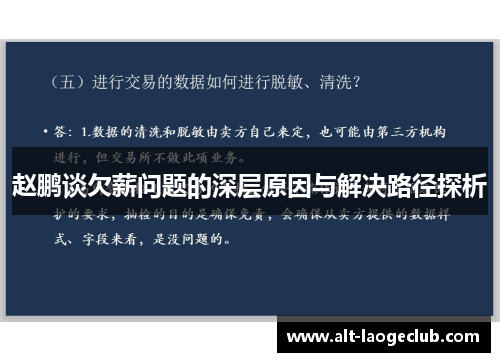 赵鹏谈欠薪问题的深层原因与解决路径探析