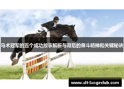 马术冠军的五个成功故事解析与背后的奋斗精神和关键秘诀