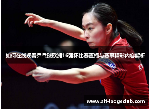 如何在线观看乒乓球欧洲16强杯比赛直播与赛事精彩内容解析