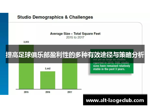 提高足球俱乐部盈利性的多种有效途径与策略分析